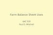 Farm Balance Sheet Analysis · What use is a Balance Sheet? • Can see where assets and liabilities are and their relative sizes • Can look at changes if have balance sheets from