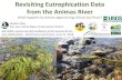 Revisiting Eutrophication Data from the Animas River...Revisiting Eutrophication Data from the Animas River What happens to stream algae during critical low flows? Melissa May San