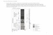 Figure DR1. Detailed, composite stratigraphic log of the ... · Lithology - Lithology can be used as a general guide to paleoenvironment as parameters such as grain size broadly correlate