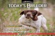 TODAY’S BREEDER · A third-generation bird dog trainer, Dan DiMambro is the catalyst that put ... Bred by Rony and Dieny de Munter-Uiterwijk of Dendermone, Belgium, King was handled