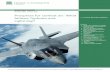 Prospects for combat air: What follows Typhoon and Lightning? · 6 Prospects for combat air: What follows Typhoon and Lightning? 1. What is the combat air strategy? 1.1 Context In