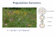 Population Genetics - David Bogler · Population Genetics and Gene (Allele) Frequencies in Populations The neo-Darwinian theory –Evolution is a population phenomenon –Evolution