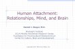 Human Attachment: Relationships, Mind ... - Dr. Dan Siegel Attachment.pdf · Daniel J. Siegel, M.D. Mindsight Institute UCLA Mindful Awareness Research Center Foundation for Psychocultural