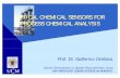 OPTICAL CHEMICAL SENSORS FOR PROCESS CHEMICAL ANALYSIS · OPTICAL CHEMICAL SENSORS FOR PROCESS CHEMICAL ANALYSIS Prof. Dr. Guillermo Orellana Optical Chemosensors & Applied Photochemistry