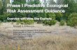 Phase I Predictive Ecological Risk Assessment Guidance · Phase I Predictive Ecological Risk Assessment Guidance Overview with Mine Site ExampleOverview with Mine Site Example Michael