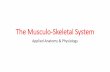 The Musculo-Skeletal System...•Muscular system is made up of more than 600 muscles, including voluntary/skeletal muscles •The skeletal muscles connect to the bones and work with