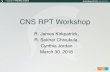 CNS RPT Workshop - Michigan State University · problem for RPT? What happens after the dept review? What happens when things go wrong and why? What is the impact of a minority of