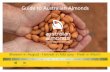 Guide to Australian Almonds · Ph: +86 21 3136 1516 Olam is now the second largest grower of Almonds globally with over 30,000 acres of orchards in Australia and over 7,500 acres