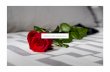 valentine’s day arrangements · I Love You Petals $75 Rose Petals with a Single Rose that says it all Personal Touch $75 3 Mylar Balloons with 2 Single Roses ... 101 Reasons Why