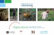 LaAgricultura · 2016-05-31 · la Nación Movima ya que la riqueza y la variedad de las tierras que se encuentran en las riberas de los ríos y en los bosques, son aprovecha-das