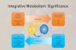 Integrative Metabolism: Significance · Urea Acid Cycle Cycle NH 3 CO 2 Carbamoyl-P Ornithine Citrulline Arginine Argininosuccinate Urea Aspartate Asn Succinate Succinyl CoA Fumarate