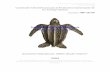 Sinopsis sobre la tortuga baula (Dermochelys coriacea) · 2008-11-14 · Sinopsis sobre la tortuga baula (Dermochelys coriacea) Didiher Chacón-Chaverri 2004 Convención Interamericana