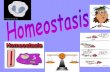 What is homeostasis? - Mrs. Roderickmrsroderick.com/classnotes/homeostasisdisease.pdf · What is homeostasis? -The process of maintaining a constant internal environment despite a