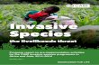 Invasive Species - CABI Invasives 2014... · Invasive species such as mesquite, parthenium weed, cassava brown streak virus, fruit fly, and tomato leaf miner, were reported to affect