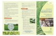 Basmati Rice Revise Resige - Integrated Pest Management Rice Revise آ  Basmati rice is cultivated in