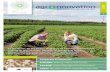 WHERE RESEARCH AND PRACTICE MEETec.europa.eu/eip/.../files/...magazine_3_2016_web.pdf · EIP-AGRI network to grow and make an impact! In this magazine, you’ll learn about first
