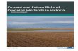 Current and Future Risks of Cropping Wetlands in Victoria ... · Current and Future Risks of Cropping Wetlands in Victoria: Technical Report iv Executive summary Victoria has over