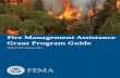 Fire Management Assistance Grant Program Guide · designated in the FEMA-State Agreement for the Fire Management Assistance Grant Program, is the Grantee. However, after a declaration,