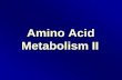 Amino Acid Metabolism II - TOP Recommended Websites · Amino Acid Metabolism II. Amino Acid Biosynthesis •Plants and microorganisms can make all 20 amino acids and all other needed