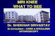 MRI KNEE WHAT TO SEE - Dr Shekhar Srivastavdelhiarthroscopy.com/MRI_KNEE_WHAT_TO_SEE_(_DR.SRIVASTAV)_Knee... · Dr. SHEKHAR SRIVASTAV Sr.Consultant – KNEE & SHOULDER ARTHROSCOPY