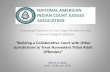 NATIONAL AMERICAN INDIAN COURT JUDGES ASSOCIATION Webinar 4... · Presentation Overview Introduction Overview Presentation Q & A Session ... webinars, documents, or publications are