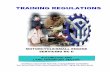 TRAINING REGULATIONS - Motorcycle... · MOTORCYCLE /SMALL ENGINE SERVICING NC II SECTION 1 MOTORCYCLE /SMALL ENGINE SERVICING NC II QUALIFICATION The MOTORCYCLE /SMALL ENGINE SERVICING