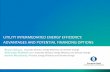 UTILITY INTERMEDIATED ENERGY EFFICIENCY: ADVANTAGES … and... · UTILITY INTERMEDIATED EE IS INCREASINGLY COMMON, WITH EEOS BEING A MAJOR DRIVER • Most OECD members have some form