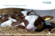 Calf management - AHDB Dairy WEB.pdf · Raising heifer calves is the second largest annual expense, approximately 20 per cent of a dairy business’s production costs, after feed.