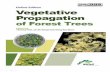 Online Edition Vegetative Propagation - Cirad 32-55 de vegetative-propagation-of-forest...Vegetative Propagation of Forest Trees_____33 somatic embryogenesis (Yeung 1995). The very