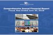 ARLINGTON COUNTY, VIRGINIA · ARLINGTON COUNTY, VIRGINIA Comprehensive Annual Financial Report FISCAL YEAR 2018 (July 1, 2017 - June 30, 2018) DEPARTMENT OF MANAGEMENT AND FINANCE
