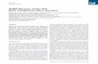 GABA Neurons of the VTA Drive Conditioned Place Aversion Neuron 2012.pdf · Neuron Article GABA Neurons of the VTA Drive Conditioned Place Aversion Kelly R. Tan,1 Ce´dric Yvon,1,6