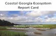 Coastal Georgia Ecosystem Report Card...Coastal Georgia Ecosystem Report Card Heath Kelsey and Alexandra Fries University of Maryland Center for Environmental Science Brunswick, GA