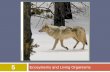 Ecosystems and Living Organisms 112/Environment 9TH Ed... · Niche is an organism’s role The totality of an organism’s adaptations, its use of resources, and the lifestyle to