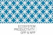 GPP & NPP PRODUCTIVITY: ECOSYSTEM · ECOSYSTEM PRODUCTIVITY The amount of energy available in an ecosystem determines how much life it can support. Ex: Amount of sunlight → how