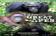 Film Synopsis - Big Movie Zonebigmoviezone.com/filmsearch/movies/teacher_guides/pdf/nwave-thegreatapes-educator...Film Synopsis The Great Apes 3D brings us face to face with some of