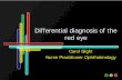 Differential Diagnosis of the Red Eye - Semantic Scholar · Differential diagnosis of the red eye Carol Slight Nurse Practitioner Ophthalmology. The red eye HSV Keratitis Anterior