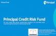 *Investors should consult their financial advisors if in doubt about … · 2019-01-22 · However, opportunities still exist for mispriced credits (for example, new capital market