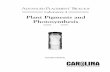Plant Pigments and Photosynthesis · Exercise 4A (Plant Pigments)requires one 45-minute laboratory period. This period can be used to demonstrate paper chromatography and the apparatus