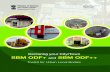 Declaring your City/Town SBM ODF+ and SBM ODF++ · Declaring your City/Town SBM ODF+ and SBM ODF++ Foreword The Swachh Bharat Mission (SBM), launched on 2nd October 2014, has one