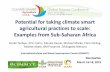 Potential for taking climate smart agricultural …csa2015.cirad.fr/var/csa2015/storage/fckeditor/file/L1_1f...Potential for taking climate smart agricultural practices to scale: Examples