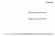 Thermo Call TC3 · Thermo Call TC3 12 Anslutning Elektriska anslutningar GSM-modul *: Anslutning kan avvika allt efter inbyggd 2:a värmare. Se mo nteringsanvisning till värmaren