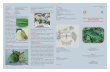 Know Your Cotton Insect Pests DEFOLIATORS · Crop Protection Folder Series: 8 of 11 English Version Technology Mission on Cotton Mini Mission I (3.1) IPM Implementation at Village