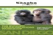 COMMUNICATIONS SAN DIEGO - The Bonobo Projectbonoboproject.org/wp-content/uploads/Bonobo-Workshop-Program-FINAL.pdfThe Bonobo Project is a 501(c)3 nonprofit organization that seeks