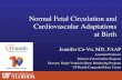 Normal Fetal Circulation and Cardiovascular Adaptations at ......Normal Fetal Circulation and Cardiovascular Adaptations ! at Birth" Jennifer Co-Vu, MD, FAAP" Assistant Professor"