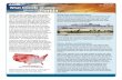 What Climate Change Means for Florida...Change, and EPA’s Climate Change Indicators in the United States. Mention of a particular season, location, species, or any other aspect of