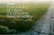 The future of cities: measuring sustainability · own sustainability needs. The result was the Bristol Method, a series of modules addressing different aspects of urban sustainability.