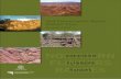 NORTHERN FLINDERS RANGES - SeamlessCMS · 2015-05-26 · FOREWORD . The Northern Flinders Soil Conservation Board has been involved in various activities since the inception of our