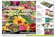 by Arizona East Spring’s Beauty Lowest Is In Bloom!.… · All natural formula to ensure superior plant growth! reg. 24.99 Spring’s Beauty Is In Bloom! $299 ... Includes 2 hand
