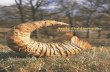 Andy Goldsworthy - WordPress.com · Andy Goldsworthy is best known for his small ephemeral works created ad hoc in the landscape and recorded as photographs. Since April 1984, however,