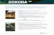 The Kokoda VR Education Resource Port Moresby: Militia ... · attack when Japanese forces mount two air raids on Darwin. ... New Guinea, Port Moresby, Owers’ Corner, Owen Stanley